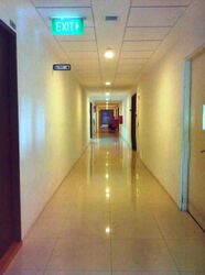 Vertex (D14), Factory #634110941